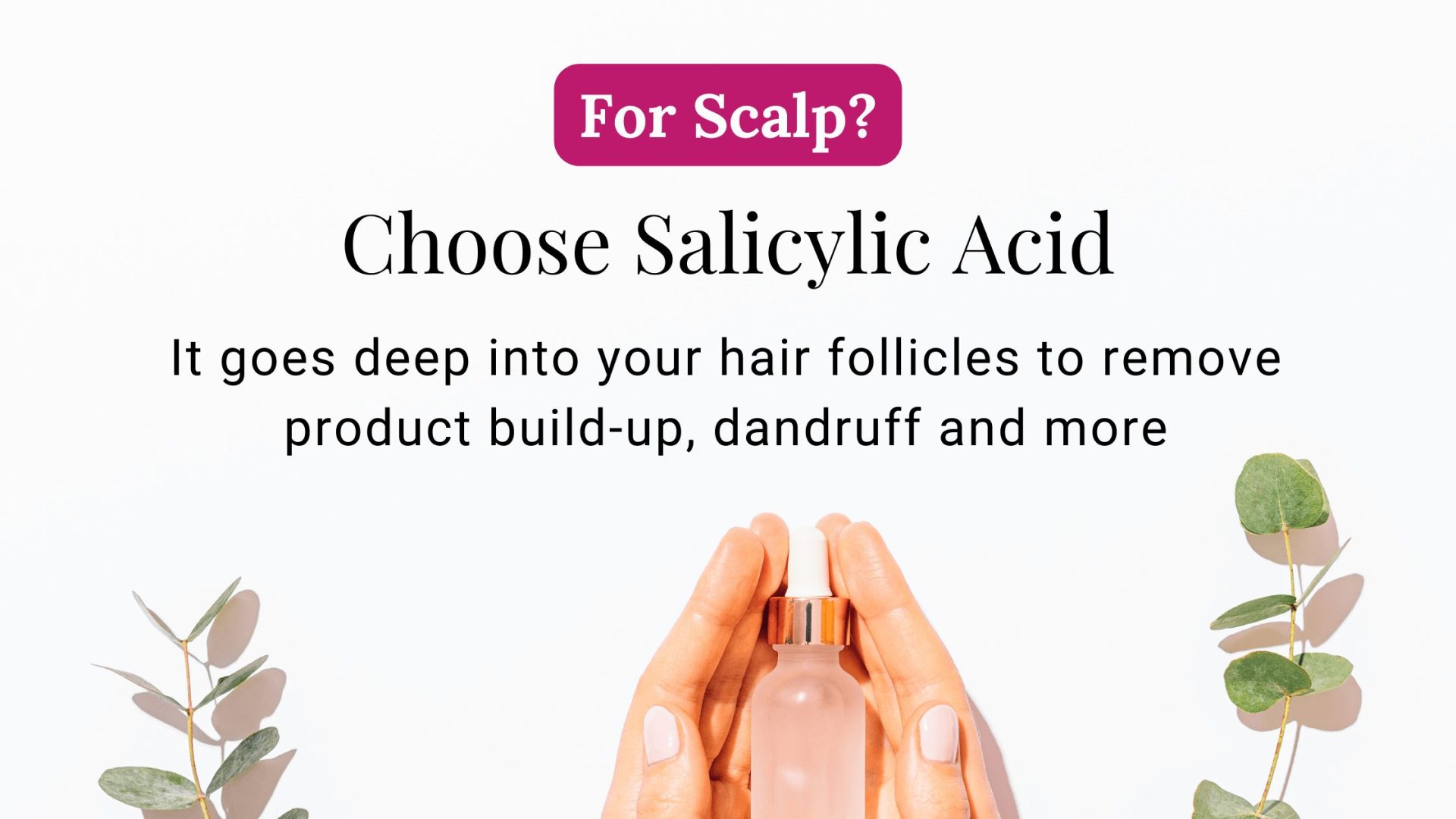 Lush Can You Use Glycolic Acid With Salicylic Acid Scene Concept Lush Can You Use Glycolic Acid With Salicylic Acid Scene Concept